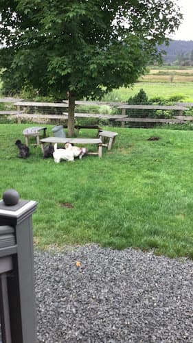 Dog Grooming Bonnie’s Country Boarding and Grooming Seattle