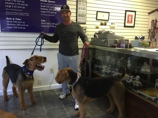 Dog Grooming Bratdogz Pet Spa - Oregon City Pet Grooming Bend