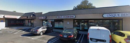 Dog Grooming Brea Grooming Fullerton