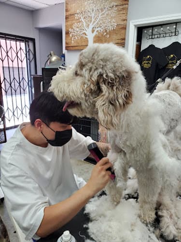 Dog Grooming C U Pet Grooming Anaheim