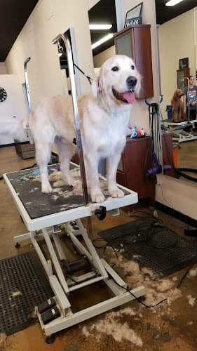 Dog Grooming California Groomin' Salinas