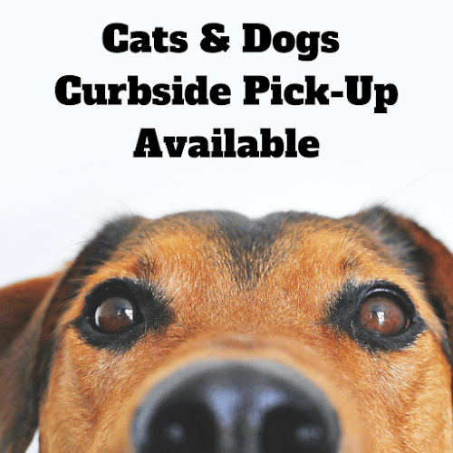 Dog Grooming Cats & Dogs Los Angeles