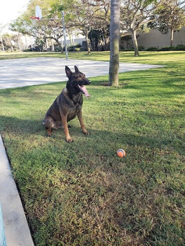 Dog Grooming Coast Pet Supplies & Grooming Huntington Beach