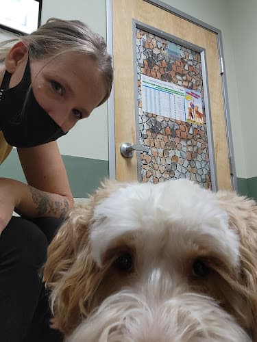 Dog Grooming Dapper Paws pet grooming salon Vancouver