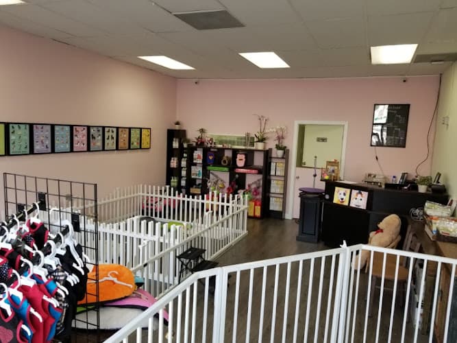 Dog Grooming DEBBIE'S GROOMING Los Angeles