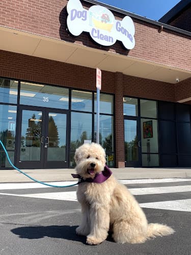 Dog Grooming Dog Gone Clean - Dog Grooming and Self Serve Dog Wash - Vancouver, WA Vancouver