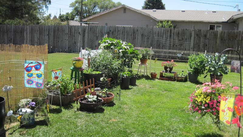 Dog Grooming Dog Grooming By Annette Bend