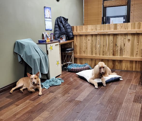 Dog Grooming Dog Grooming by Martine Beaverton