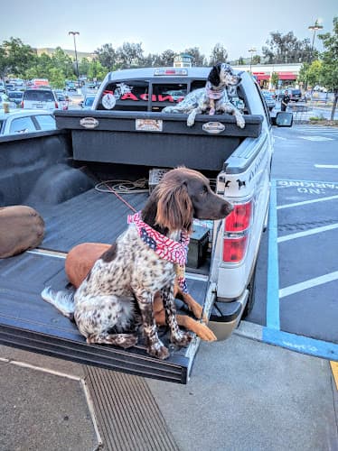 Dog Grooming Dogs of the Feather Fairfield