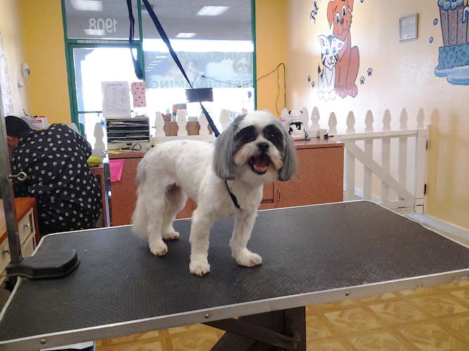 Dog Grooming Furr Paradise Pet Grooming Orange