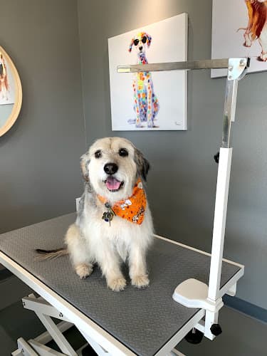 Dog Grooming Groom and Play Palmdale