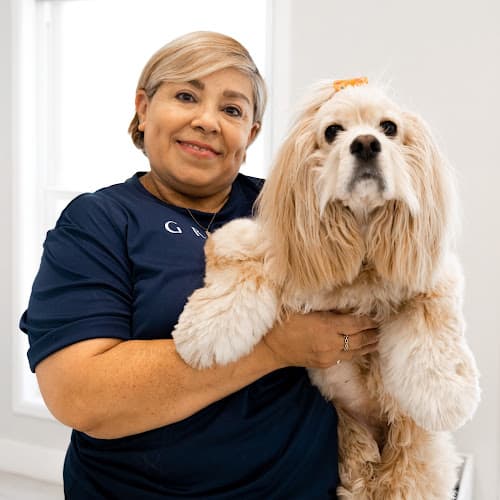 Dog Grooming Groom - Dog Care With Love Burbank
