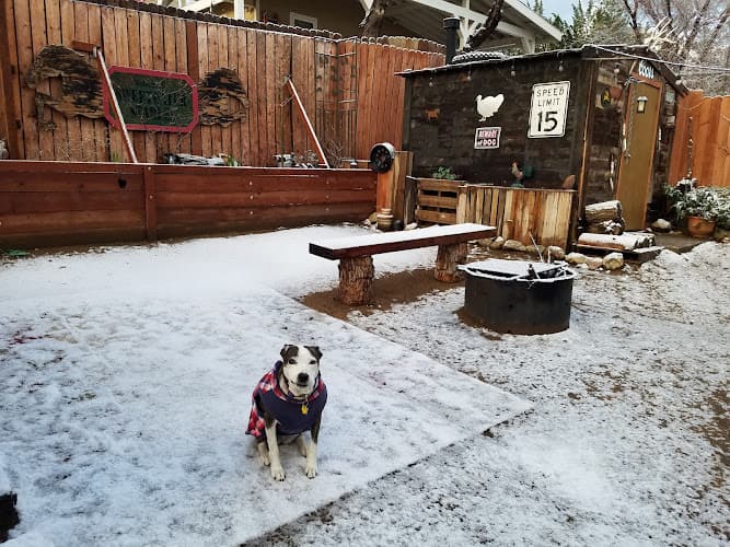 Dog Grooming Groomed to a T Burbank