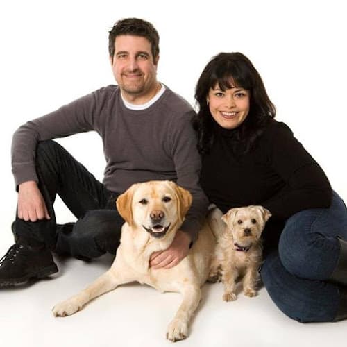 Dog Grooming Groomer's Best Friend Bellevue