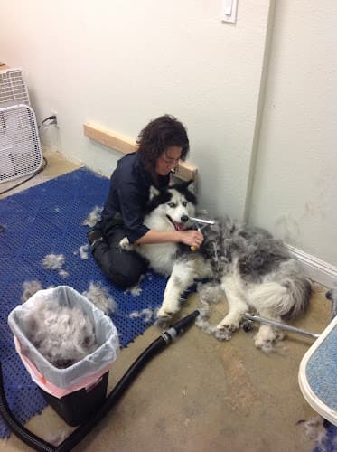 Dog Grooming Happy Paws Grooming Nanairo, Inc. El Cajon