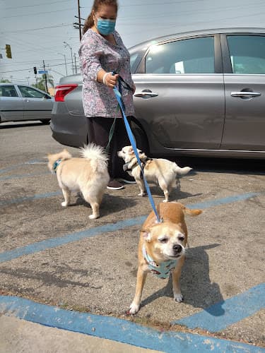 Dog Grooming Happy Paws Grooming Salon Lancaster