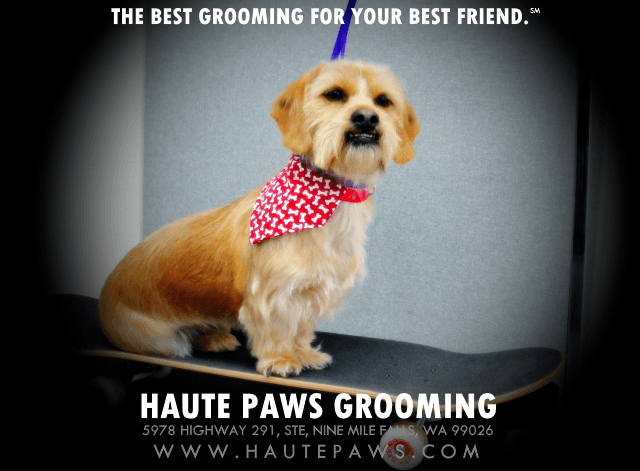 Dog Grooming Haute Paws Grooming Spokane Valley
