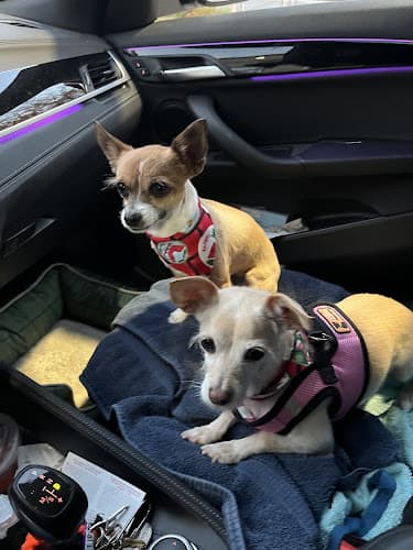 Dog Grooming Horizon Pet Supply & Grooming Murrieta