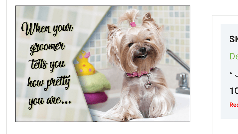 Dog Grooming Jeni's Advanced Grooming Redding