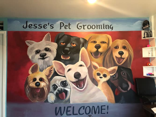 Dog Grooming Jesse's Pet Grooming Lancaster