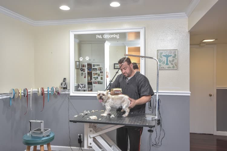 Dog Grooming John's Pet Grooming Sacramento