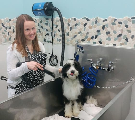 Dog Grooming K-9 to Five Doggy Playcare & Spa Vancouver