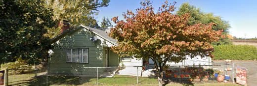 Dog Grooming Kim Coxen Profesional Grooming Salem