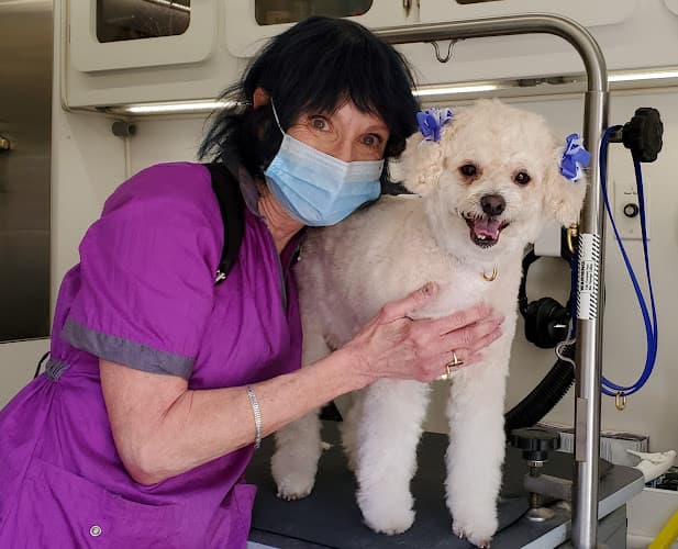 Dog Grooming King's Mobile Pet Grooming & Spa Carson
