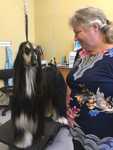 Dog Grooming Kristi's Grooming LLC Everett