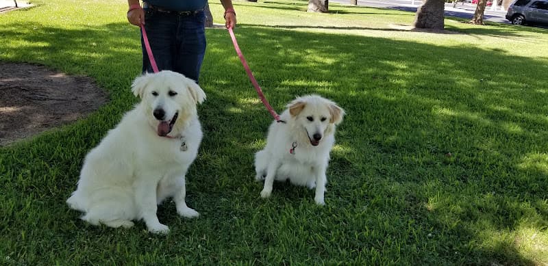 Dog Grooming Laura's Grooming Nook Visalia