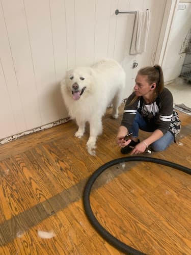 Dog Grooming Le Pooches Pet Grooming Sacramento