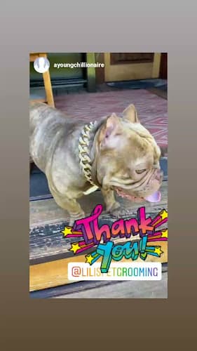 Dog Grooming Lili's Pet Grooming Compton