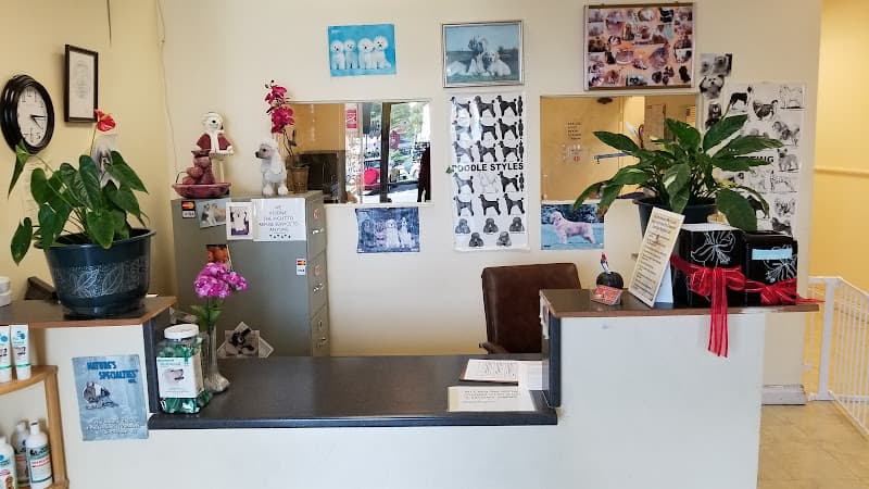 Dog Grooming Lucretia's Pet Grooming Mission Viejo