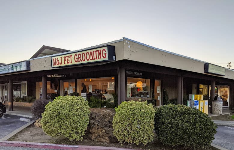 Dog Grooming M & J Pet Grooming Santa Clara