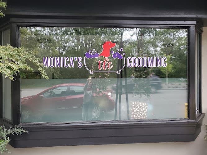 Dog Grooming Monica's Tlc Grooming Seattle