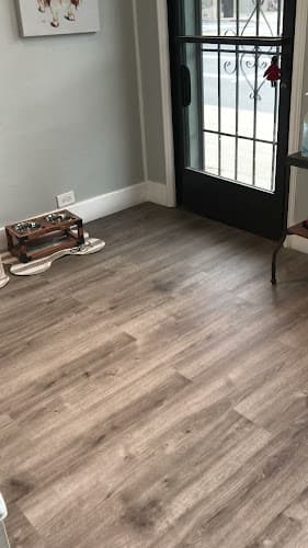 Dog Grooming Mr John's Grooming Oakland