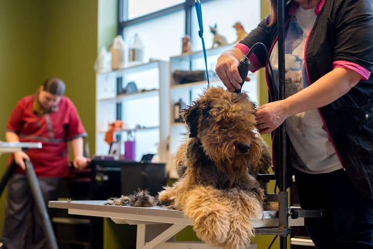 Dog Grooming Nature's Pet Market & Grooming St Johns Portland