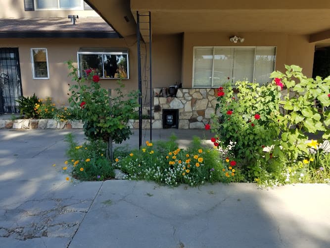 Dog Grooming Noah's Ark Mobile Grooming Bakersfield