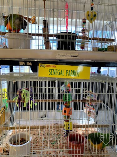 Dog Grooming Omar's Exotic Birds Vista
