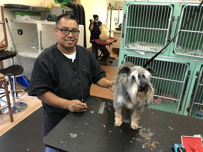 Dog Grooming Omar’s Grooming Santa Barbara