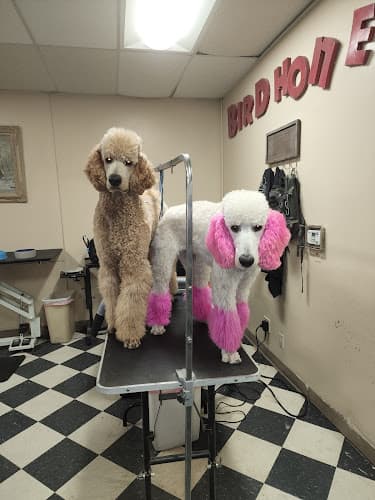 Dog Grooming Ortegas Mobile Pet Grooming, Baños y corte de pelo para su perrito mobilario. Los Angeles