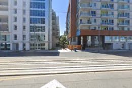 Dog Grooming Out Of The Box Grooming & Pet Care Long Beach