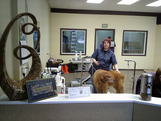 Dog Grooming Pampered Paws Grooming LLC Salem