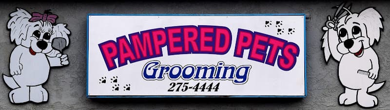 Dog Grooming Pampered Pets Grooming Redding