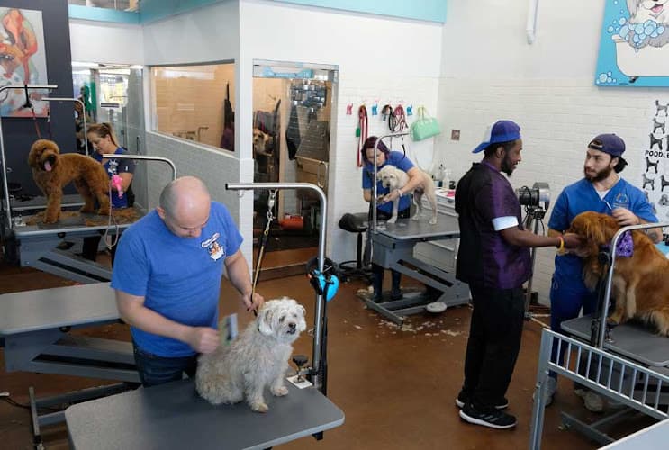 Dog Grooming Pampered Tails Los Angeles