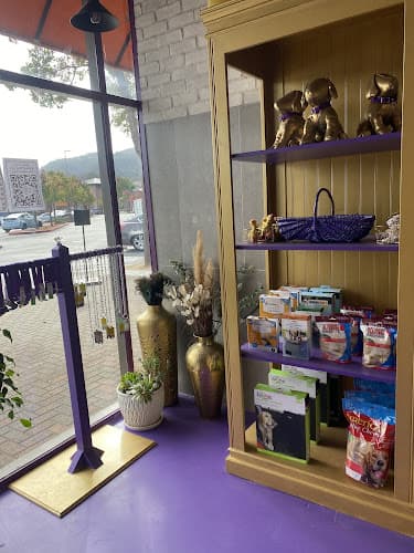 Dog Grooming Paw Palace Grooming San Francisco