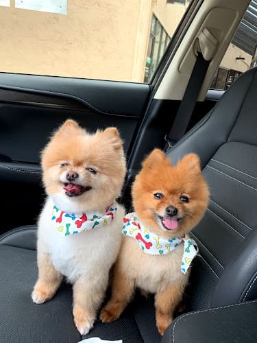 Dog Grooming Paw Prints Grooming and Spa Stockton