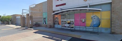 Dog Grooming Pet Grooming Pasadena