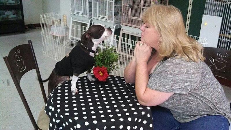 Dog Grooming Pet Pantry Yakima Yakima