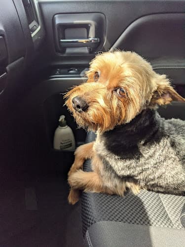 Dog Grooming Pet Paw Grooming West Covina